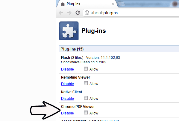Chrome PDF Viewer Plug-in